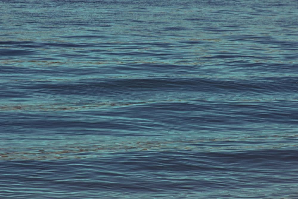 Contact form background